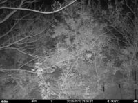 Nov 10 2025 21:00:32, #01