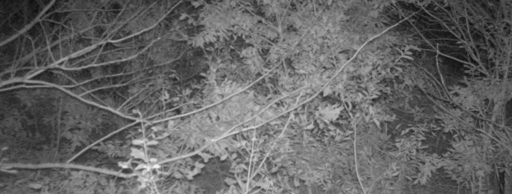 Nov 11 2025  0:00:31, #01