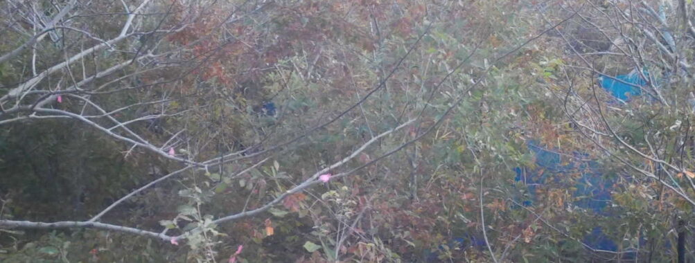 Nov 11 2025  6:00:31, #01