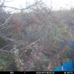 Nov 11 2025 6:00:31, #01