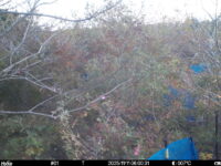 Nov 11 2025  6:00:31, #01