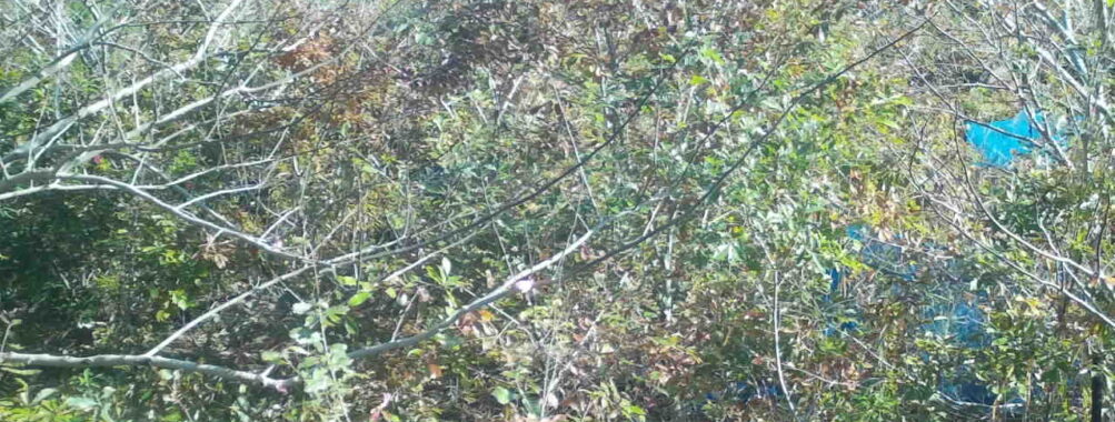 Nov 11 2025  9:00:31, #01