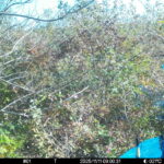 Nov 11 2025 9:00:31, #01