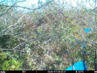 Nov 11 2025  9:00:31, #01