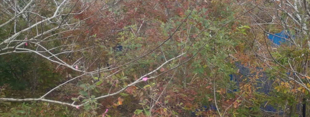 Nov 11 2025 12:00:30, #01