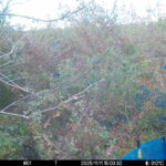 Nov 11 2025 15:00:32, #01