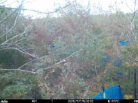 Nov 11 2025 15:00:32, #01