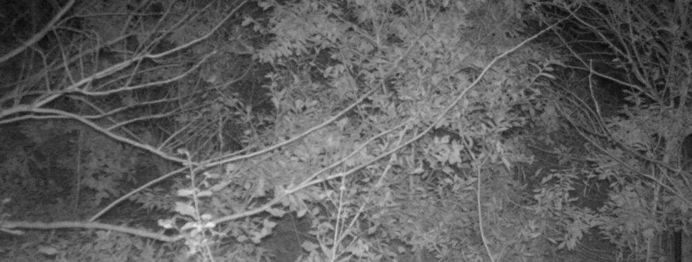 Nov 11 2025 18:00:31, #01