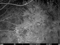 Nov 11 2025 18:00:31, #01