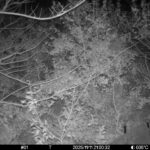 Nov 11 2025 21:00:32, #01