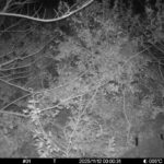 Nov 12 2025 0:00:31, #01