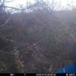 Nov 12 2025 6:00:32, #01