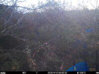 Nov 12 2025  6:00:32, #01