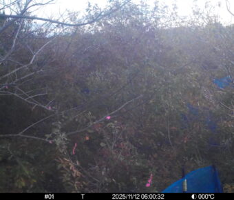 Nov 12 2025  6:00:32, #01