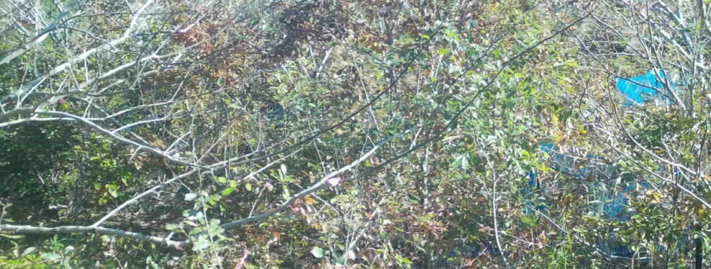 Nov 12 2025  9:00:32, #01