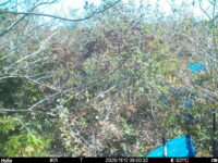 Nov 12 2025  9:00:32, #01