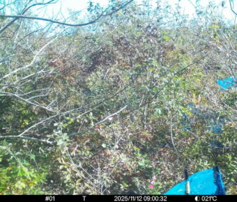 Nov 12 2025  9:00:32, #01