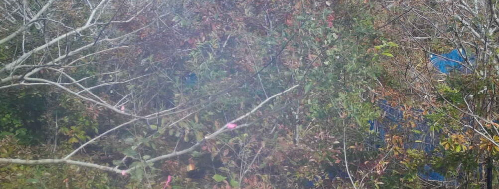 Nov 12 2025 12:00:31, #01