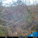 Nov 12 2025 12:00:31, #01