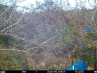 Nov 12 2025 12:00:31, #01