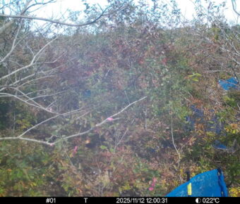 Nov 12 2025 12:00:31, #01