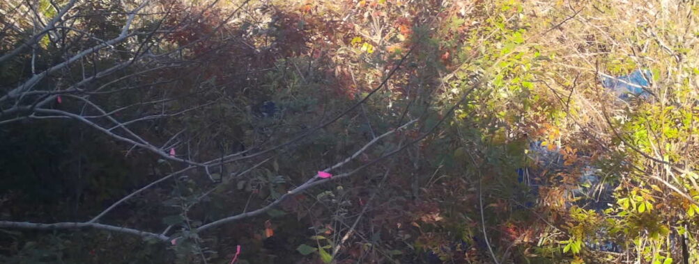 Nov 12 2025 15:00:32, #01