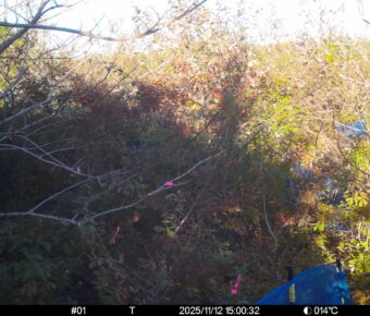 Nov 12 2025 15:00:32, #01