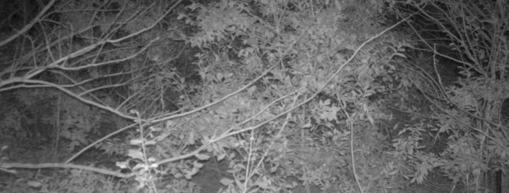 Nov 12 2025 18:00:31, #01