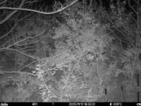 Nov 12 2025 18:00:31, #01