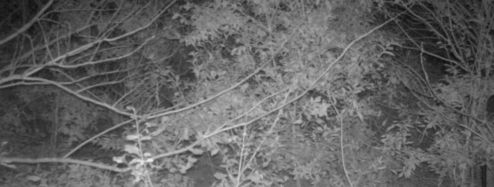 Nov 12 2025 21:00:31, #01