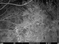 Nov 12 2025 21:00:31, #01