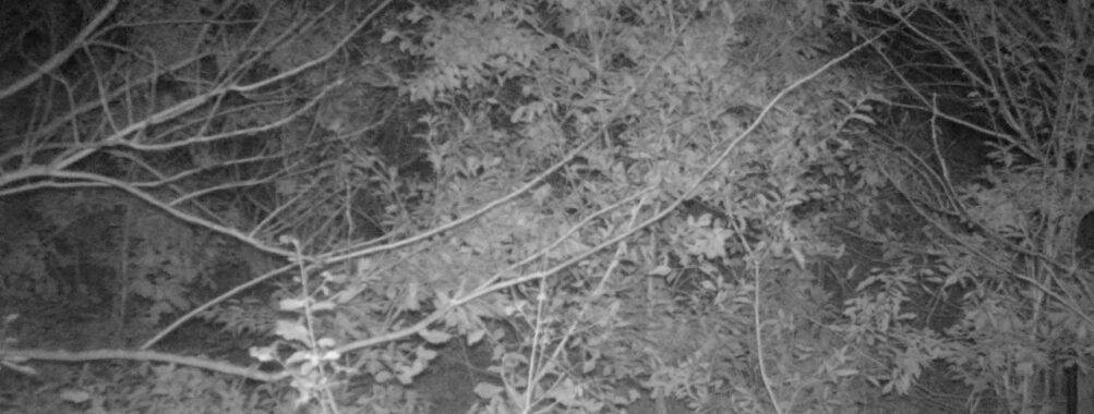 Nov 13 2025  0:00:31, #01