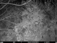 Nov 13 2025  0:00:31, #01