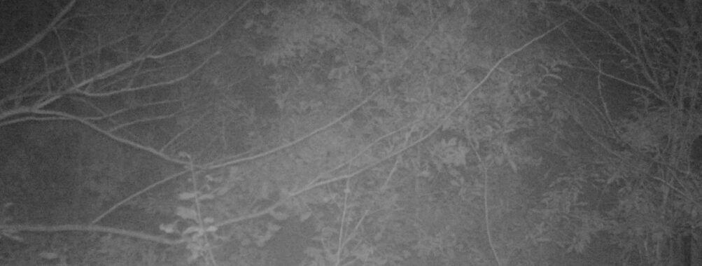 Nov 13 2025  3:00:31, #01