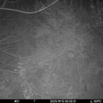 Nov 13 2025 3:00:31, #01