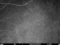 Nov 13 2025  3:00:31, #01