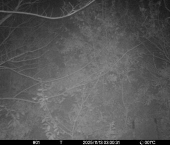 Nov 13 2025  3:00:31, #01