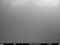 Nov 13 2025  6:00:32, #01