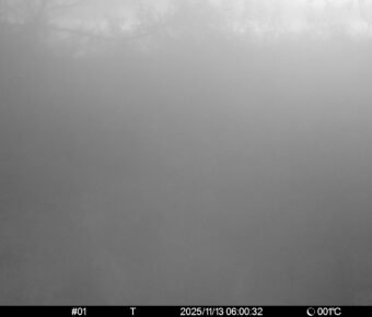 Nov 13 2025  6:00:32, #01