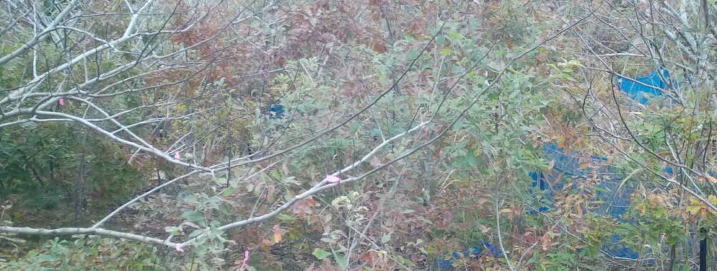 Nov 13 2025  9:00:32, #01