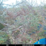 Nov 13 2025 9:00:32, #01