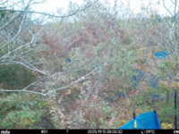 Nov 13 2025  9:00:32, #01