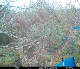 Nov 13 2025  9:00:32, #01