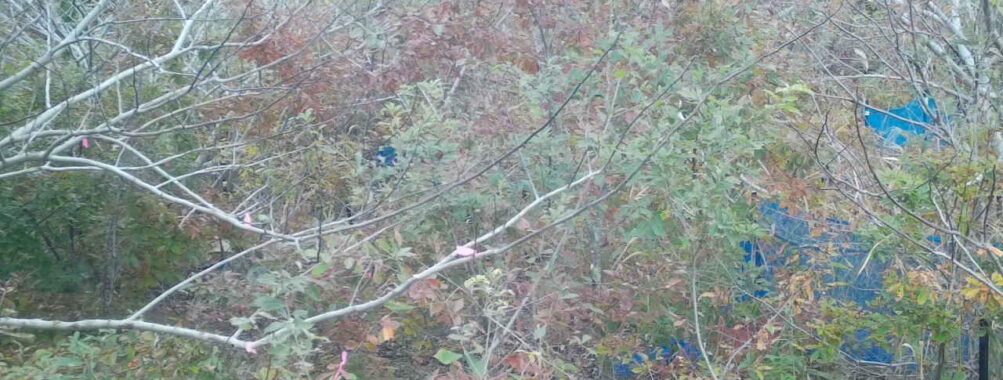 Nov 13 2025 12:00:32, #01