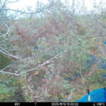 Nov 13 2025 12:00:32, #01