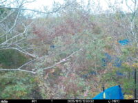 Nov 13 2025 12:00:32, #01