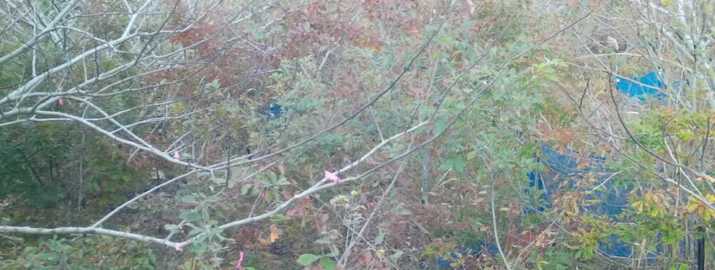 Nov 13 2025 15:00:31, #01