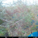 Nov 13 2025 15:00:31, #01