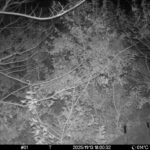 Nov 13 2025 18:00:32, #01