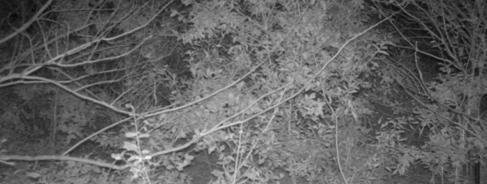 Nov 13 2025 21:00:32, #01